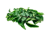 Curry Leaf