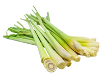 Lemon Grass