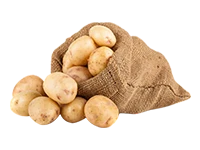 Potato Ooty