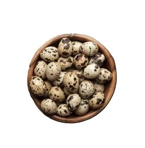 Quail Egg