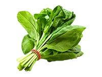 Spinach