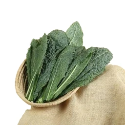 Dinosaur Kale Leaves by BetterGreens