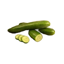 Organically Grown - English Cucumber (Khira, Kheera)