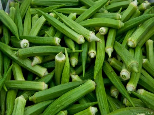 Lady Finger (Bhindi) 250 g - 250 gram
