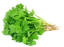 Fresh Coriander Leaves (Dhaniya) 1 Bunch (100g)