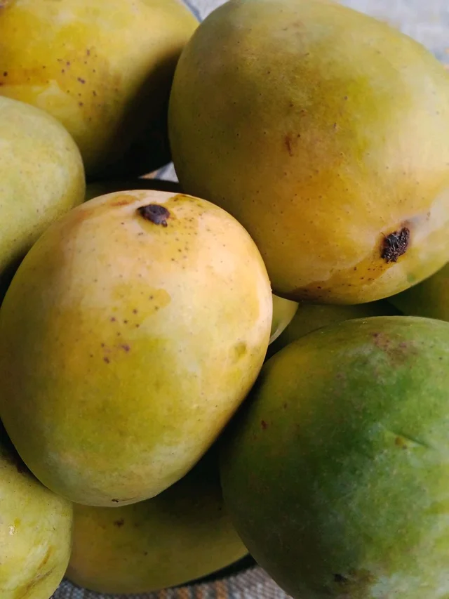 Fresh & Juicy Malda Aam 500g