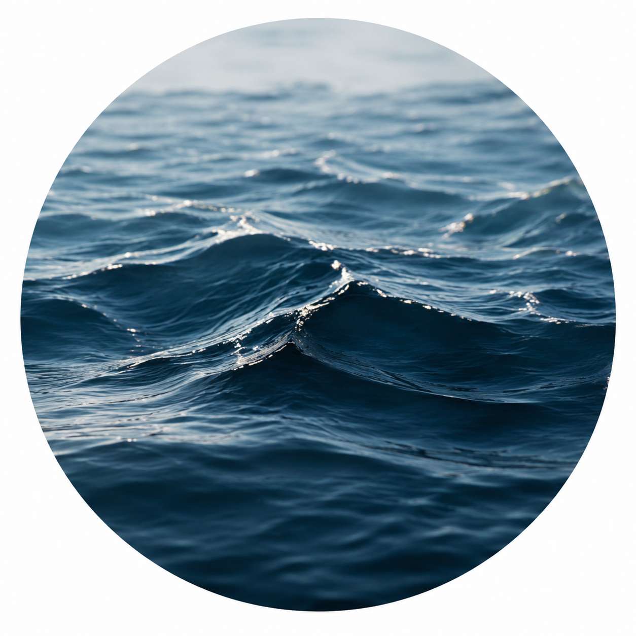 Aquatic