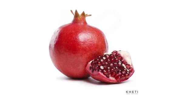 Anar (450-550Gm)