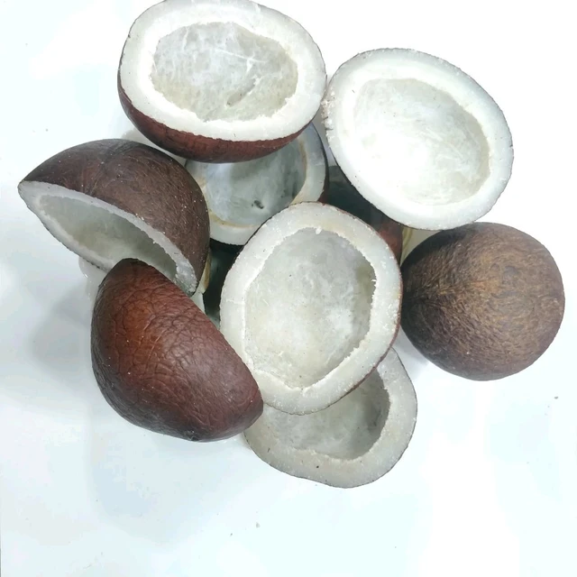 Dry Coconut/ Copra_Black