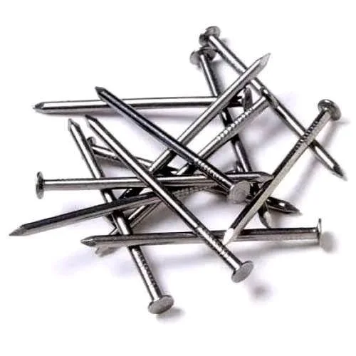 Nails (পেরেক) - 6 inch