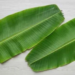 Banana Leaf 2