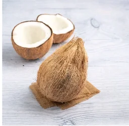 Coconut 1pc