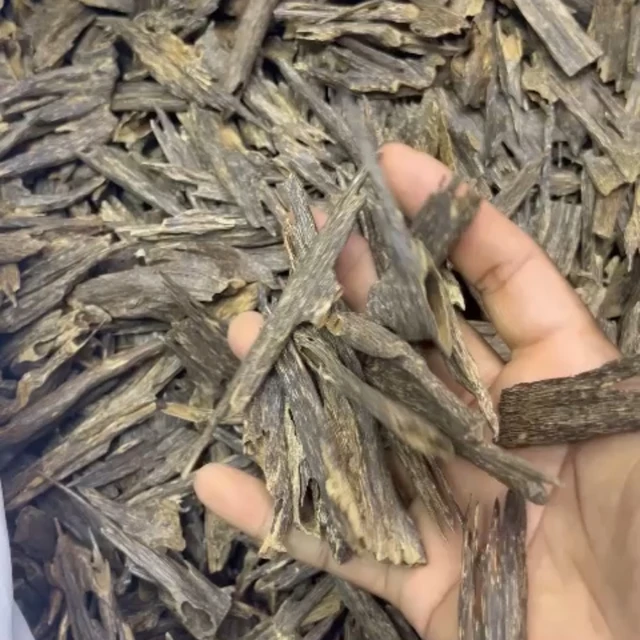 Agarwood Imphal Vip