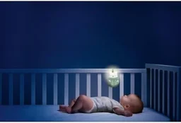 CHICCO TOY FD DAY AND NIGHT OWL RATTLE