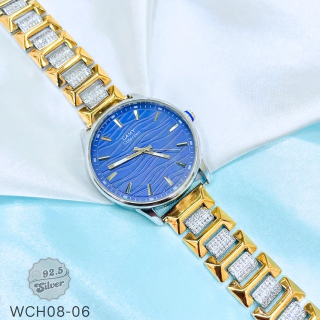 Two-Tone Men's Fancy Watch - WCH08-06
