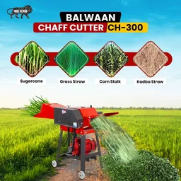 Balwaan Krishi Balwaan Chaff Cutter CH-300 With 3 HP Motor & Gear | Motor Operated Fodder Cutting Machine With 4 Slide Blades & 2-Size Chaff Gears | 2800 Rpm Wet & Dry Fodder Cutter With Forward & Reverse Switch | Dairy & Agriculture Fodder Chopping Machine | Mtak-El-Po-6063/7072