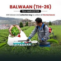 Balwaan Krishi Balwaan TH-26 Tea Harvester With 26Cc 2-Stroke Petrol Engine | Single-Man Operated Tea Leaf Harvesting Machine With Blower | Petrol-Powered Tea Plucking & Collection Machine With Collector Bag & User Manual | Mtak-En-Te-6028