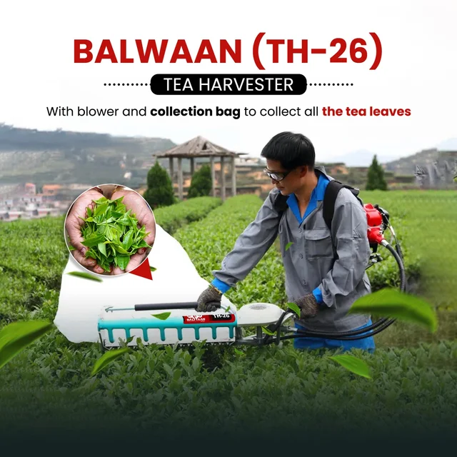 Balwaan Krishi Balwaan TH-26 Tea Harvester With 26Cc 2-Stroke Petrol Engine | Single-Man Operated Tea Leaf Harvesting Machine With Blower | Petrol-Powered Tea Plucking & Collection Machine With Collector Bag & User Manual | Mtak-En-Te-6028