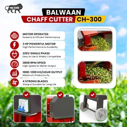 Balwaan Krishi Balwaan Chaff Cutter CH-300 With 3 HP Motor & Gear | Motor Operated Fodder Cutting Machine With 4 Slide Blades & 2-Size Chaff Gears | 2800 Rpm Wet & Dry Fodder Cutter With Forward & Reverse Switch | Dairy & Agriculture Fodder Chopping Machine | Mtak-El-Po-6063/7072