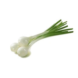 Spring Onion