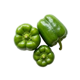 Capsicum