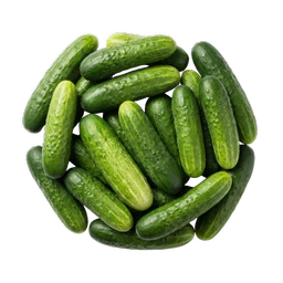English Cucumber