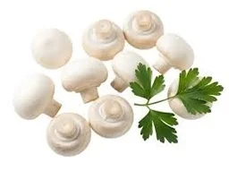 Fresh Button Mushrooms
