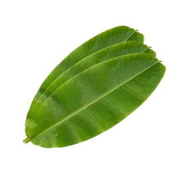 Banana Leaves