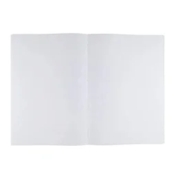 Camlin Premio Unruled 300 pages Notebook pack of 2 - 300 Pages