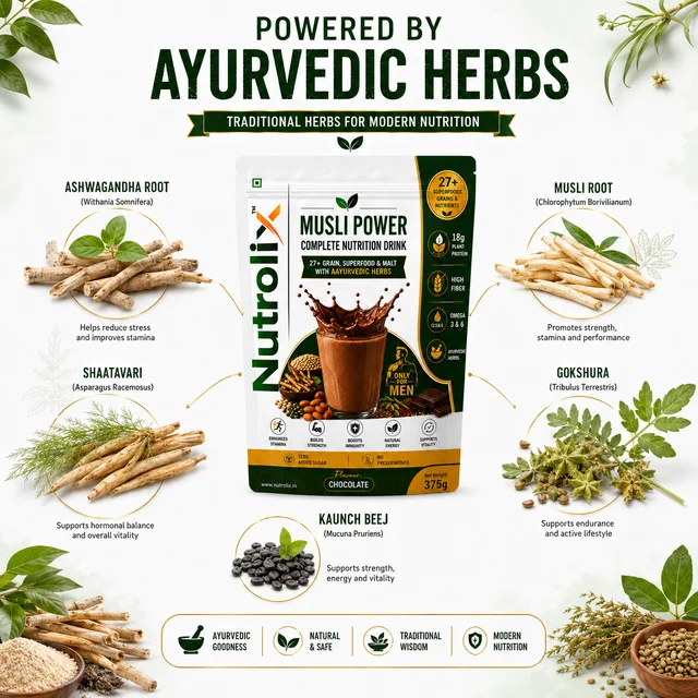Musli & Ashwagandha & 25+ Power Nutrition Drink Natural Chocolate | 375g | Nutrolix