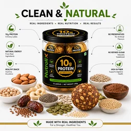 10g Protein Power Laddu | 250g | High Protein Healthy Snack | Nutrolix