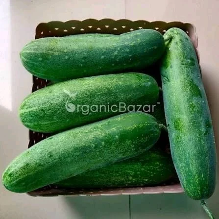 खीरा ₹40