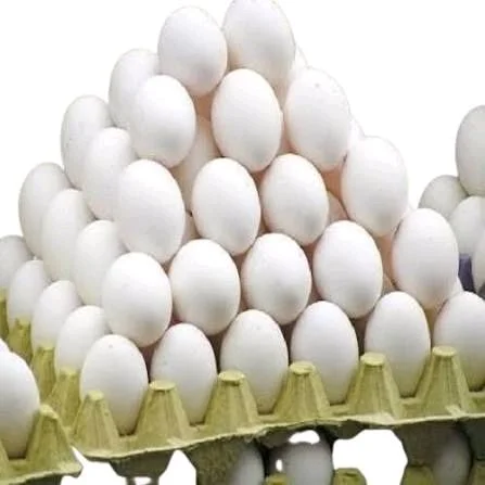 अंडा ₹9