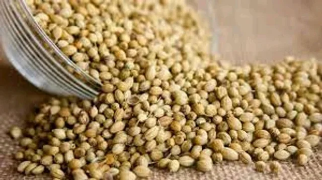 खड़ा धनिय)dhaniyaा ₹160