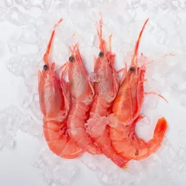 Prawns & Shrimp