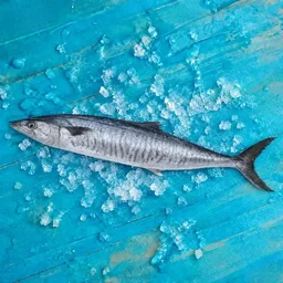 Seer Fish | Neymeen | Vanjaram | Anjal