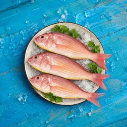 Pink Perch | Kilimeen | Sankara Meen