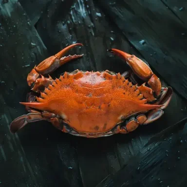 Crabs