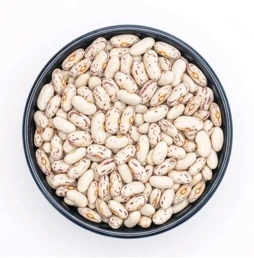 Rajma Safed (सफेद राजमा)