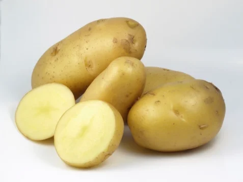 Patato ଆଳୁ 