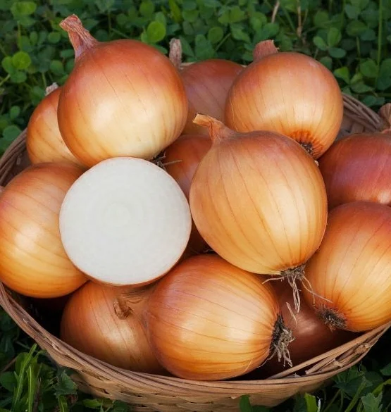 Onion 🧅 ପିଆଜ 