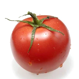 Tamato 