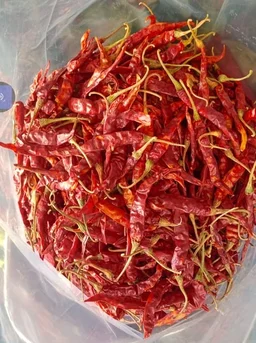 Sukha Mircha 100g
