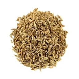 Welcome Jeera 250g
