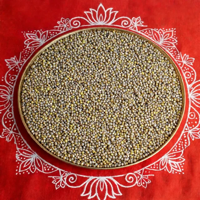 Naatu Kambu / Country Variety Pearl Millet 