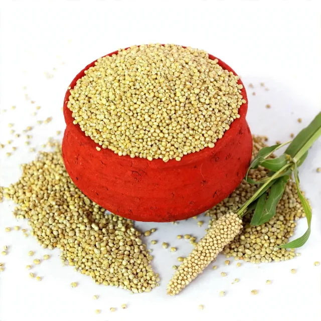 Kambu / Pearl Millet