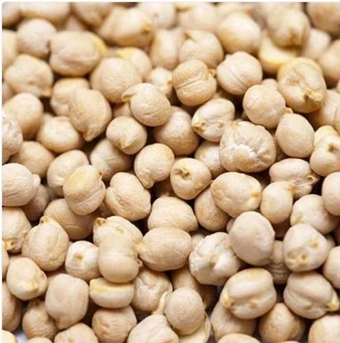 Kabuli Chana Big