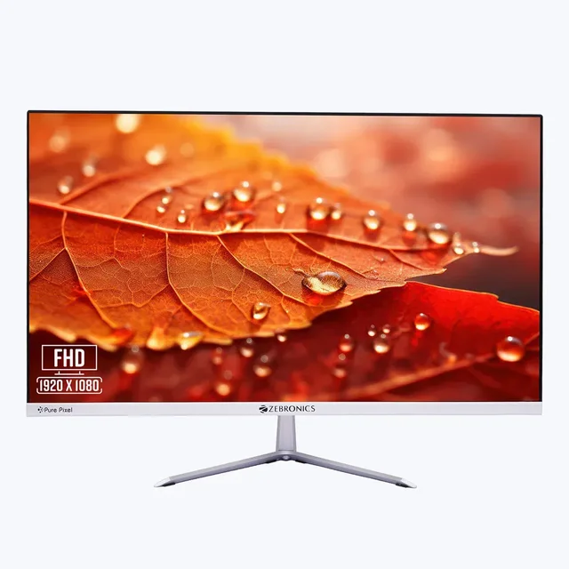 Zebronics EA124 FHD LED Monitor