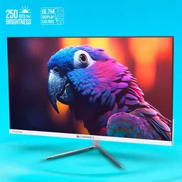 Zebronics EA124 FHD LED Monitor