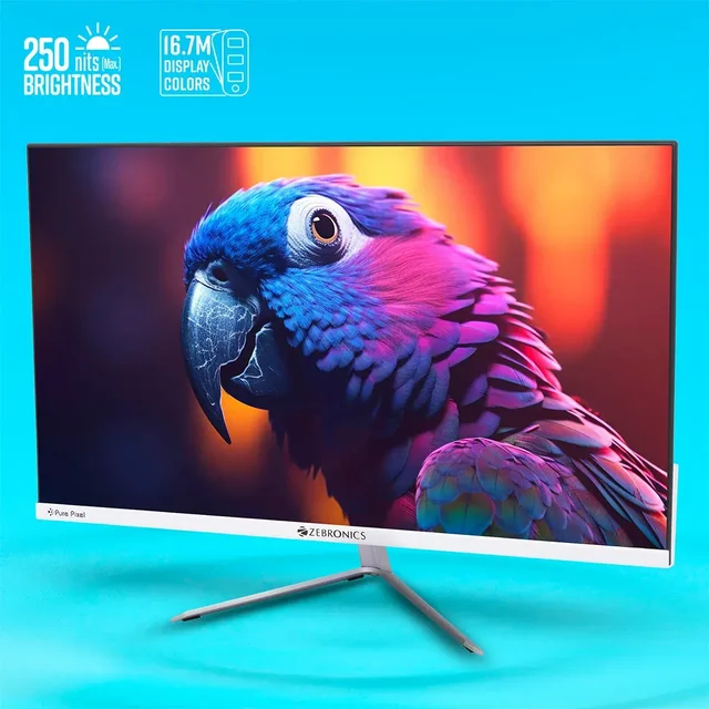Zebronics EA124 FHD LED Monitor